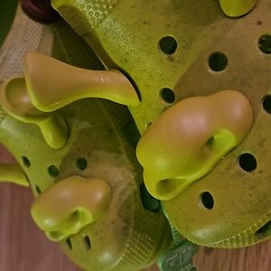 DreamWorks Shrek Crocs